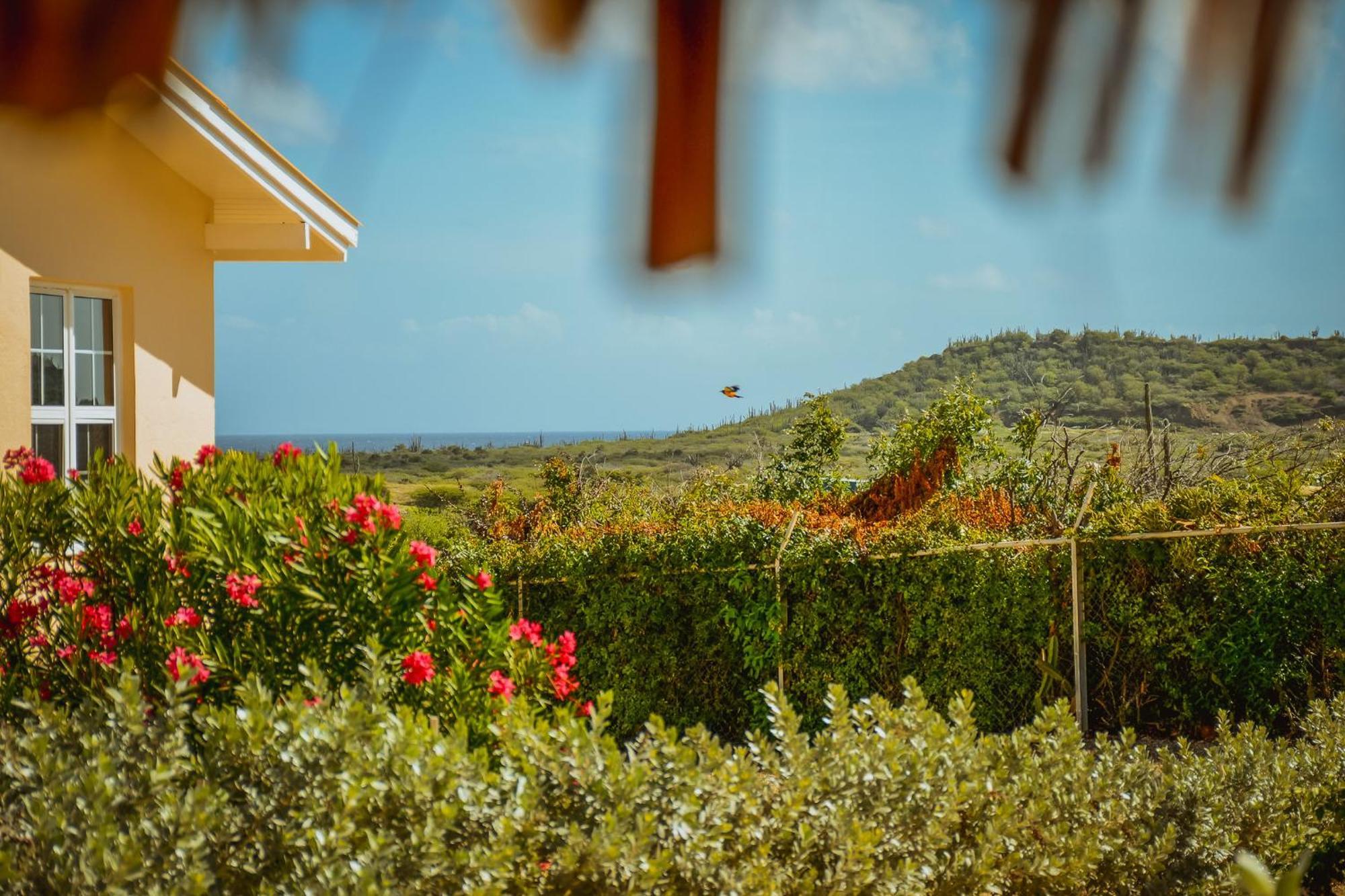 Santa Catharina Resort - Casa Samson Willemstad Bagian luar foto